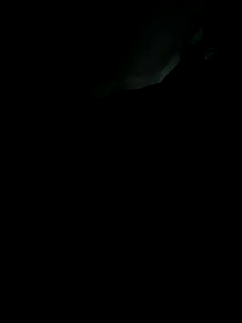 Snapshot of sebo801 chatting on September 2025 05:31:01 AM sebo801 online show from September 2025 05:31:01 AM