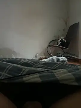 Snapshot of sambergSILVa chatting on November 2025 12:38:01 PM sambergSILVa online show from November 2025 12:38:01 PM