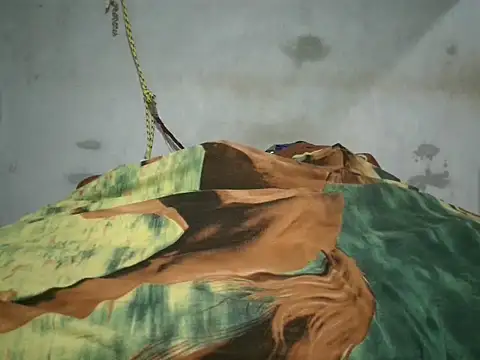 Alcee490 online show from October 2025 03:17:02 AM