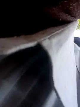 Snapshot of ipvk chatting on March 2026 05:41:01 AM ipvk online show from March 2026 05:41:01 AM