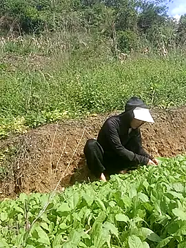 Snapshot of Norah-h chatting on October 2025 02:24:01 AM Norah-h online show from October 2025 02:24:01 AM