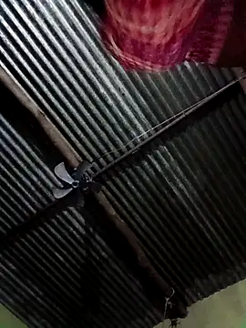 Haliya88 online show from October 2025 11:31:01 PM