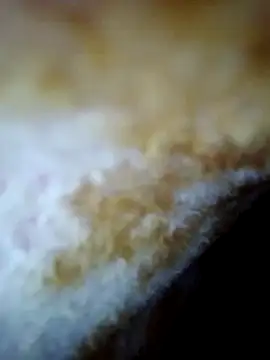 alone boy802 online show from October 2025 06:26:02 AM