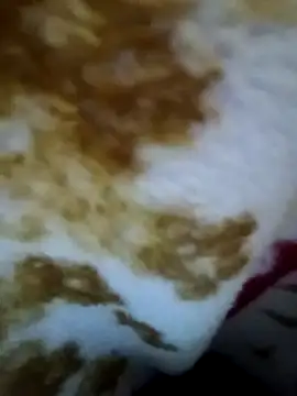 alone boy802 online show from November 2025 04:49:01 PM