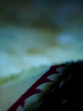 alone boy802 online show from November 2025 03:38:01 AM