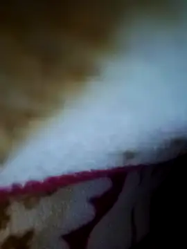 alone boy802 online show from November 2025 02:34:02 AM