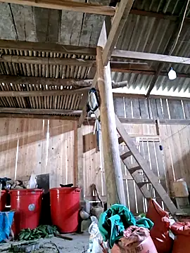 xuxulovezz online show from April 2026 04:44:02 AM