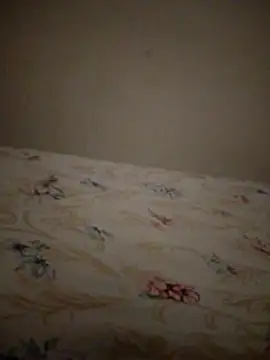 SALCEDO 041198 online show from November 2025 11:32:02 AM