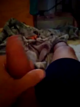 SALCEDO 041198 online show from November 2025 11:42:02 AM