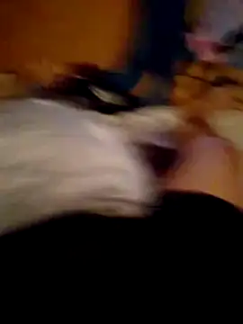 SALCEDO 041198 online show from November 2025 11:34:02 AM