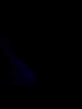 SALCEDO 041198 online show from December 2025 10:57:02 AM