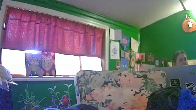 Snapshot of HippieDad333 chatting on June 2026 11:42:02 PM HippieDad333 online show from June 2026 11:42:02 PM