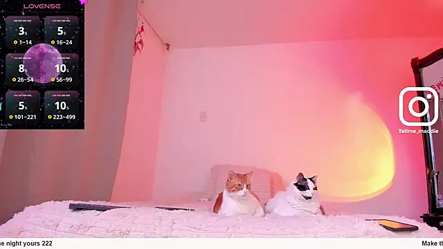 tellmemaddie online show from November 2025 08:11:01 PM