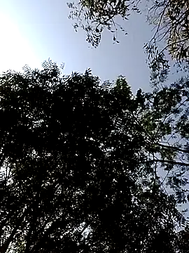 Rs sonam online show from February 2026 03:47:02 AM