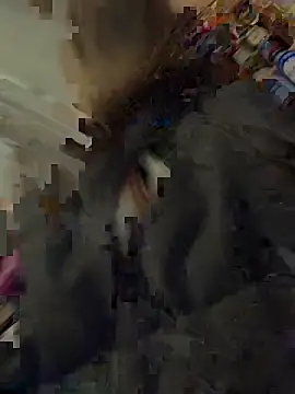 Snapshot of silentasachurchmouse chatting on December 2025 04:16:01 PM silentasachurchmouse online show from December 2025 04:16:01 PM