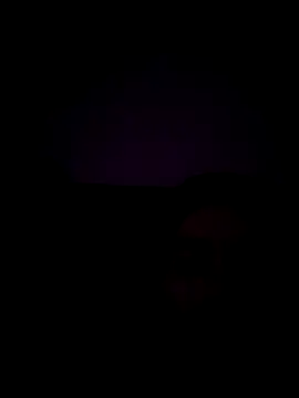 Snapshot of haze1233 chatting on October 2025 02:14:02 AM haze1233 online show from October 2025 02:14:02 AM