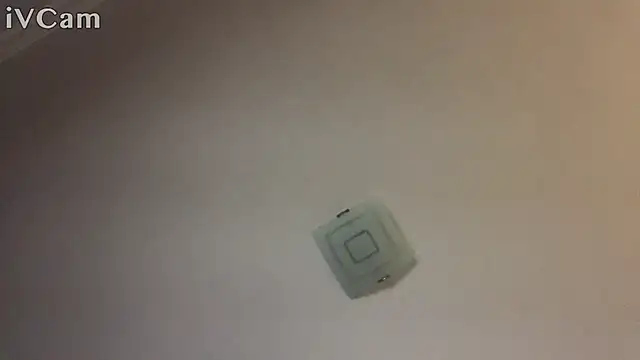 Snapshot of XxvanxX chatting on November 2025 06:50:01 PM XxvanxX online show from November 2025 06:50:01 PM