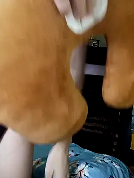 BiCute688 online show from November 2025 04:31:02 PM