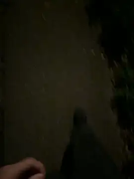 Snapshot of ncjuice_ chatting on October 2025 10:00:01 PM ncjuice  online show from October 2025 10:00:01 PM