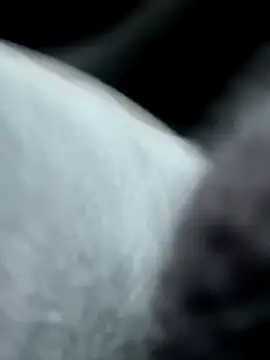 Snapshot of pleasedontpressaredburton chatting on October 2025 02:29:02 PM pleasedontpressaredburton online show from October 2025 02:29:02 PM