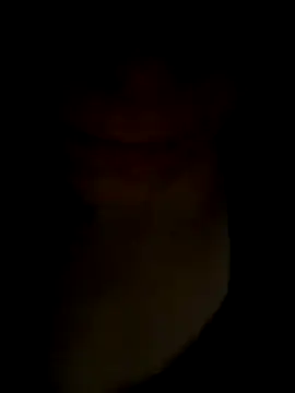 Snapshot of pleasedontpressaredburton chatting on November 2025 01:04:02 AM pleasedontpressaredburton online show from November 2025 01:04:02 AM