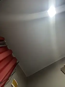 Priihmedeiros online show from March 2026 07:05:01 AM