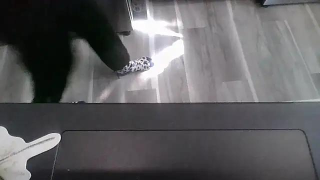 october1992xx online show from November 2025 04:38:02 PM