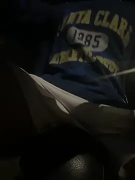 Snapshot of Wuza-H chatting on November 2025 06:07:02 PM Wuza-H online show from November 2025 06:07:02 PM