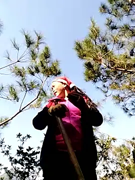 sumaybae online show from November 2025 06:15:01 AM