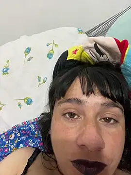 gatitaplop online show from December 2025 06:50:01 AM