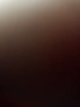 pn12345 online show from November 2025 05:34:01 AM