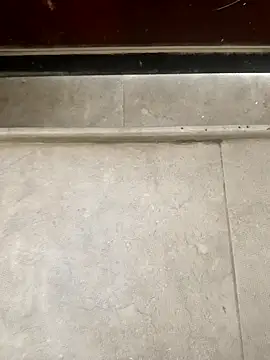 pn12345 online show from December 2025 05:12:02 AM