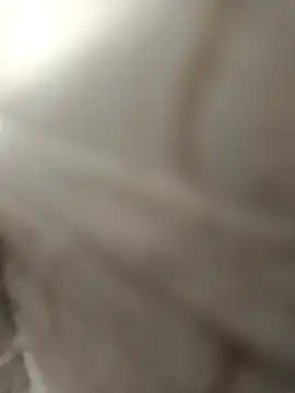 pn12345 online show from December 2025 04:11:02 AM