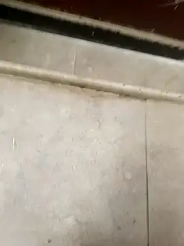 pn12345 online show from December 2025 04:10:01 AM