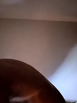 Snapshot of felipelon07 chatting on November 2025 05:10:01 AM felipelon07 online show from November 2025 05:10:01 AM