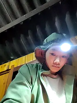 Snapshot of gio-thu chatting on November 2025 06:19:02 PM gio-thu online show from November 2025 06:19:02 PM