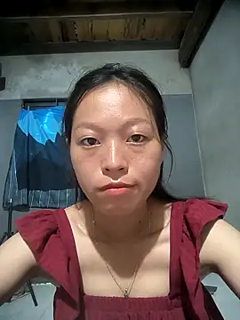 Snapshot of Zerin_nova chatting on October 2025 02:33:01 AM Zerin nova online show from October 2025 02:33:01 AM