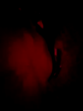 MoonQxX online show from January 2026 05:26:02 PM