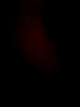 lorina202 online show from November 2025 11:59:02 PM