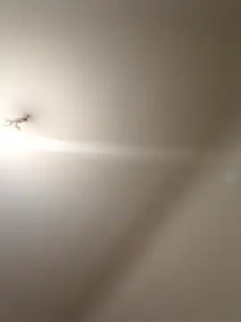 Snapshot of labellerose chatting on January 2026 05:59:01 PM labellerose online show from January 2026 05:59:01 PM