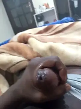 Sahrawi-fhal online show from February 2026 02:10:02 AM