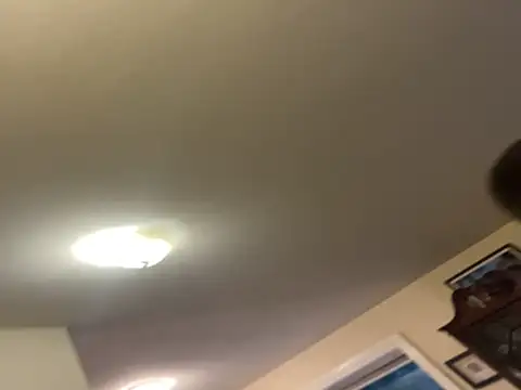 custardnmypie online show from November 2025 12:09:01 AM