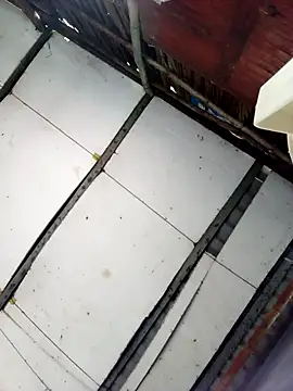 Cherry pusy99 online show from October 2025 12:04:01 AM