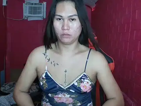 sexychekaiixxx online show from June 2026 04:43:02 AM