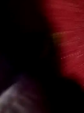 B4ldo25 online show from November 2025 11:19:02 PM