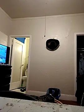 Snapshot of swipeswanger chatting on November 2025 09:22:02 AM swipeswanger online show from November 2025 09:22:02 AM