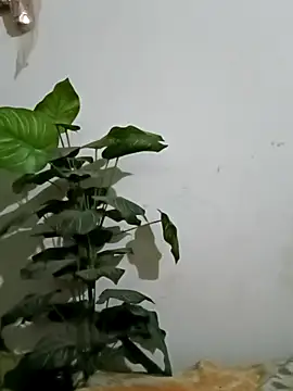 Jessica-03 online show from March 2026 06:04:01 PM