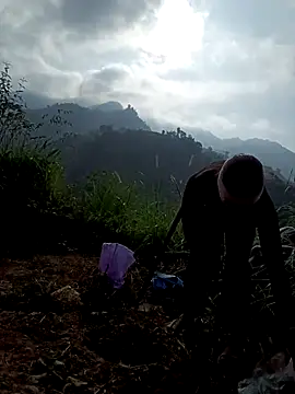 nat-tri online show from December 2025 07:26:02 AM