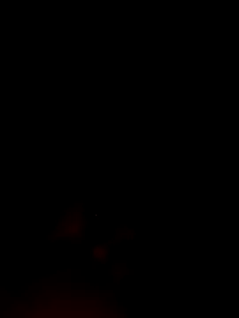 Snapshot of ShavenScope24 chatting on December 2025 05:40:02 PM ShavenScope24 online show from December 2025 05:40:02 PM