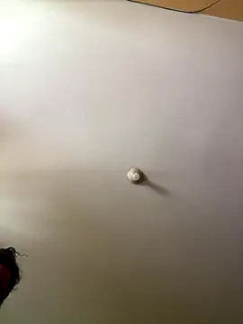 Snapshot of Techi0525 chatting on December 2025 05:18:02 PM Techi0525 online show from December 2025 05:18:02 PM